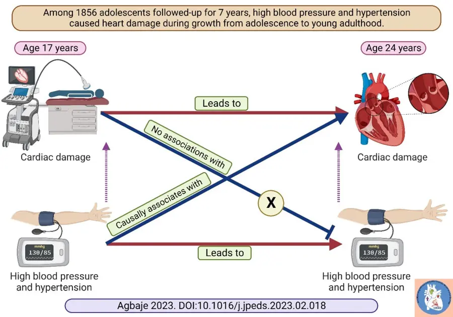 Blood pressure greater than 130/85 mmHg can cause heart damage in adolescents – the risk gets doubled in 7 years